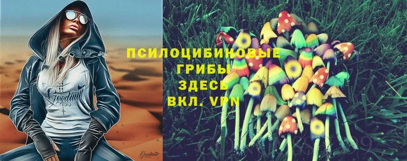 Псилоцибиновые грибы MAGIC MUSHROOMS  сайты даркнета наркотические препараты  Правдинск 